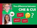 Understanding Italian Relative Pronouns: 'Che' and 'Cui'