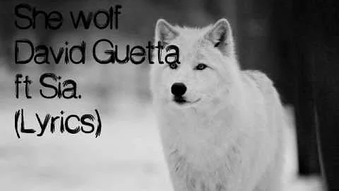 » She wolf - David Guetta ft. Sia (Lyrics)