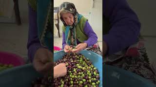 Ananem Zeytinleri Ayıklıyor Resimi