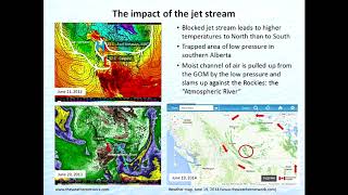 The 2013 Alberta Flood: Causes and Consequences