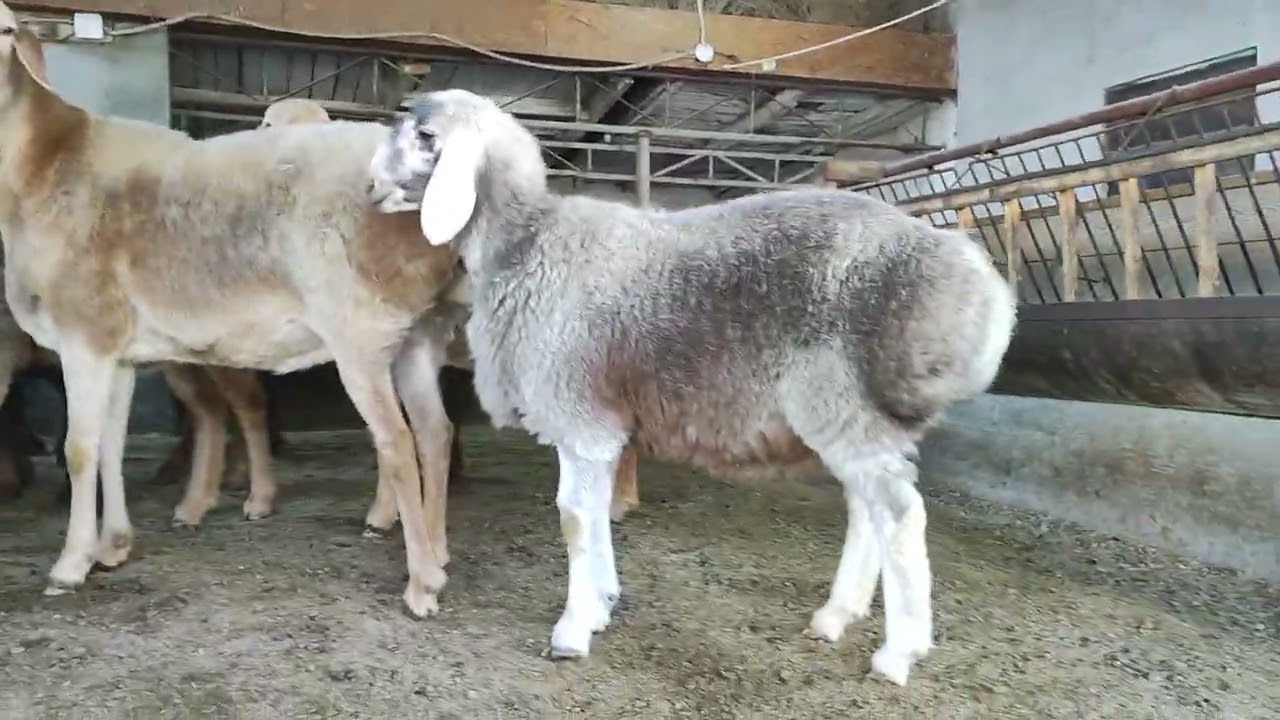 14 февраля 2025 г.