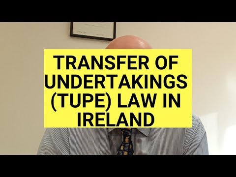 Transfer of Undertakings (TUPE) Law in Ireland-the Essentials