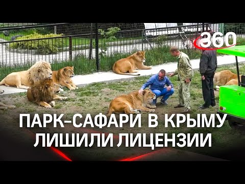 Знаменитый парк-сафари "Тайган" со львами в Крыму лишен лицензии, но должен снова открыться