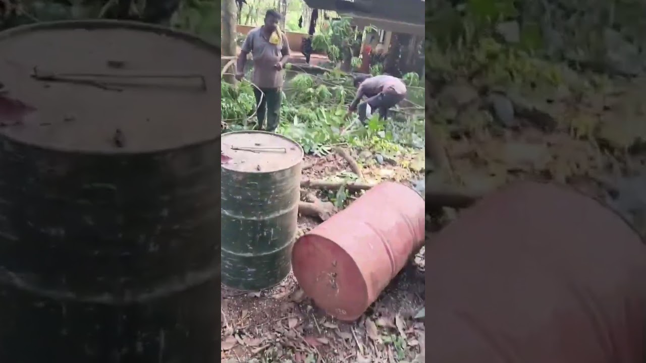 അവസാന കൊമ്പ് വരെ തൂക്കി ഇറക്കേണ്ടി വന്നു....🌳🌳