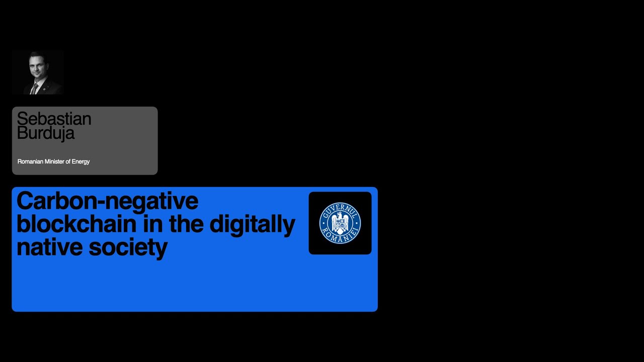 Carbon-negative Blockchain in the Digitally Native Society