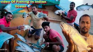 Video of fishing in Indian Ocean। Deep sea fishing 🎣🎣!!! #fishinginocean  #seafishing