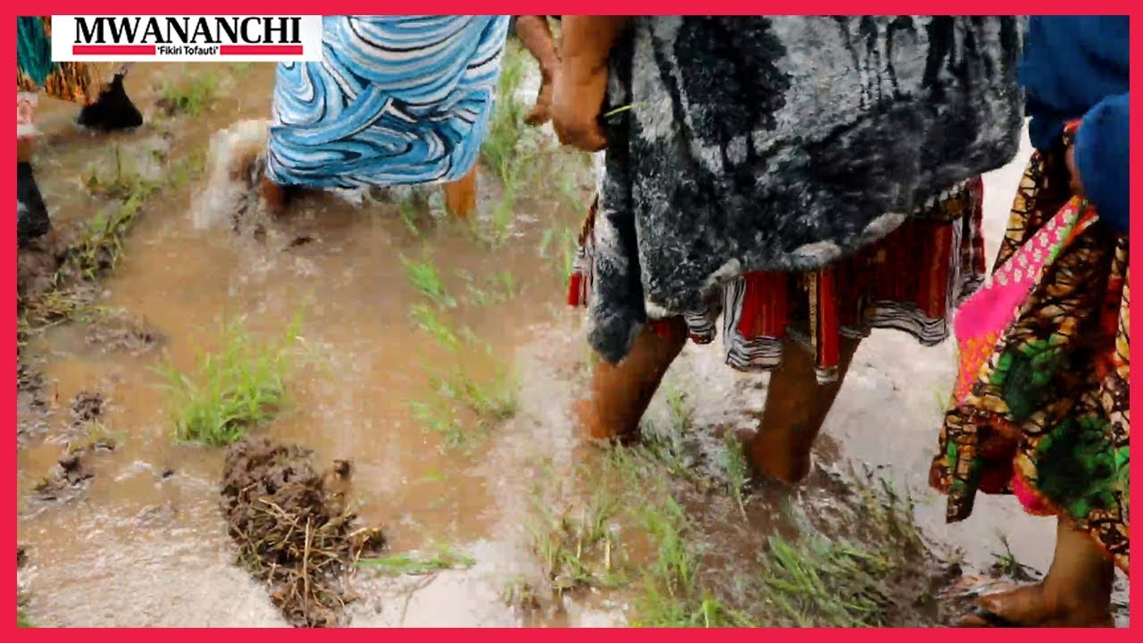 WANANCHI WAFUNGA BARABARA KWA SAA TATU MOSHI KISA MITARO