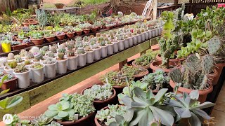 OUR NEW HOME WE'VE STARTED GETTING ORGANIZED AROUND HERE morenaflor and cacti 🌵