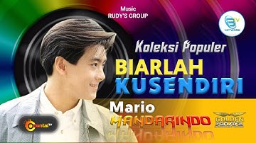 MARIO - BIARLAH KUSENDIRI | Koleksi Populer Mandarin Indonesia#mandarindo