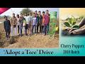 Cherry Poppers 2010 Batch 🌱 | Adopt a Tree Initiative | Growing Memories, Growing Nature