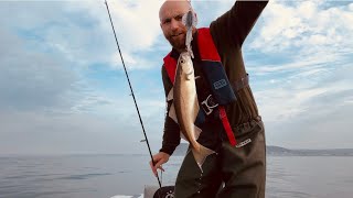 Sea fishing Northern Ireland honwave t40