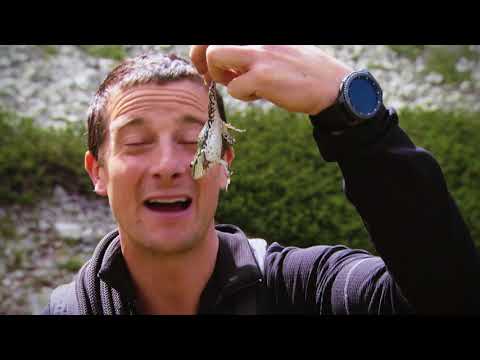 Звёздное выживание с Беаром Гриллсом. Смотрите на Discovery Channel