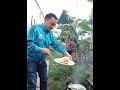 Detik2 banyak tiba2 muncul di belakangnya #trending #shorts #short #youtubeshorts #viral #fyp