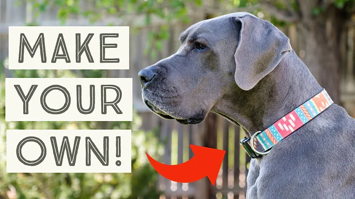 Create Unique DIY Dog Collars!