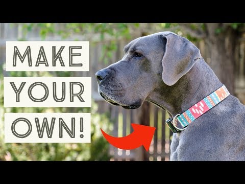 diy-dog-collar---how-to-make-your-own-custom-dog-collars!-|-great-dane-care