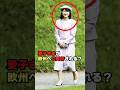 愛子さまもオランダへご同行？そこに見られたのは確かな絆が　#shorts #shortvideo #short #japan #皇室 #天皇陛下 #雅子さま #愛子さま #オランダ