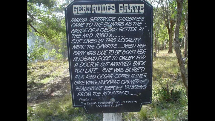 Buddy Williams - Gertrude's Grave