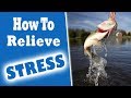 Stress Relief and Mental Health Quiz