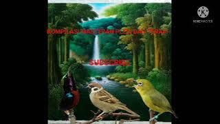 MASTERAN KOMPILASI PLECI GREJA DAN KONIN