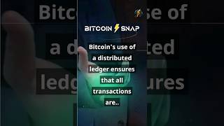 Bitcoinsnap Snap Of The Day