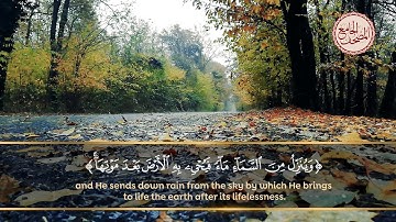 ومن آياته يريكم البرق خوفا وطمعا وينزل من السماء ماء فيحيي به الأرض بعد موتها.. سورة الروم الآية 24