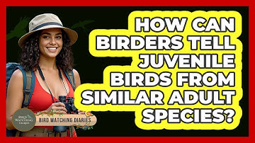 How Can Birders Tell Juvenile Birds From Similar Adult Species? - Bird Watching Diaries