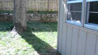 310 N. Stark St. video tour
