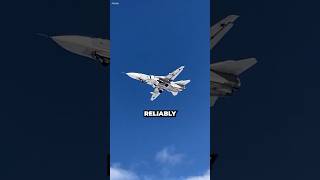 Why Don't Modern Aircraft Use Variable Sweep Wings?