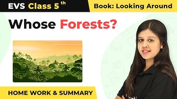Whose Forests? - Summary & Homework Questions | Class 5 EVS NCERT | Class 5 EVS Chapter 20