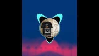 lagu joget wakatobi terbaru 2022 versi tirsan