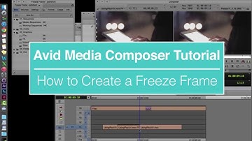 How to Create a Freeze Frame in Avid Media Composer