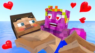 The minecraft life of Creeper and Steve : Love Story - Minecraft animation