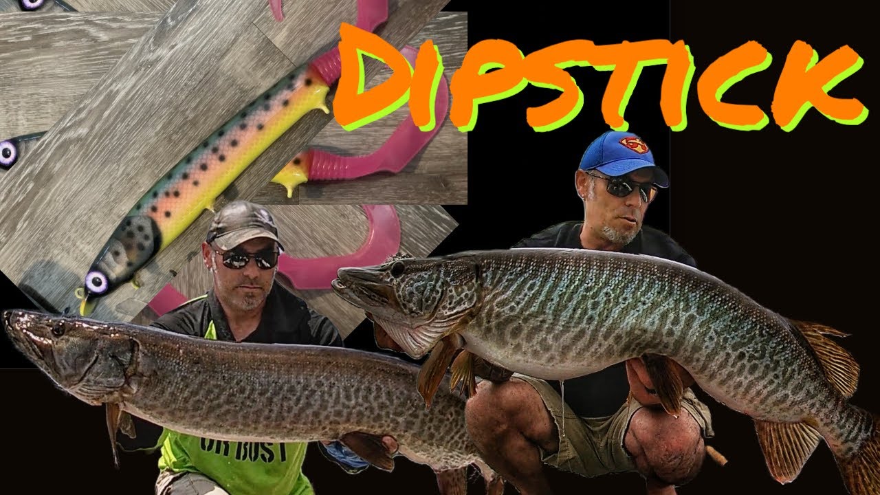 Introducing the TOPLINE BAITS DIPSTICK! One of the HOTTEST MUSKY BAITS OF  2022! 