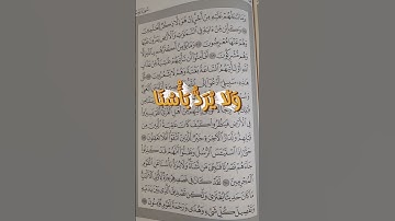 قصص وعبر - تلاوات قرانيه - تلاوة - القرآن الكريم