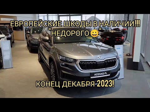 ШКОДЫ ЕСТЬ В НАЛИЧИИ!!!КАРОК,КОДИАК, ДЕКАБРЬ 2023.