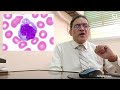 WBCs in blood smear (كيف تتعرف على خلايا الدم البيضاء تحت الميكروسكوب)