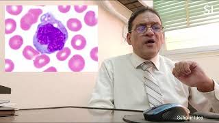 WBCs in blood smear (كيف تتعرف على خلايا الدم البيضاء تحت الميكروسكوب)