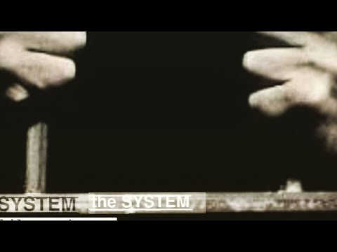 The SYSTEM  by Chad Wilson
