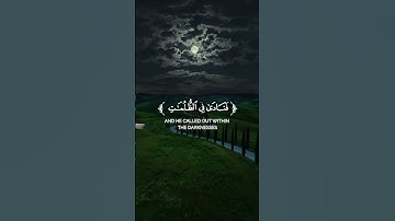 🌟القرآن الكريم  نور في ظلمات الحياة 🌟تلاوة خاشعة تلامس القلب ❤️ #قرآن #لايك #اكسبلور #المصحف #القران