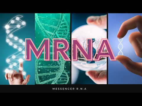 Video: Untuk apa RNA digunakan?