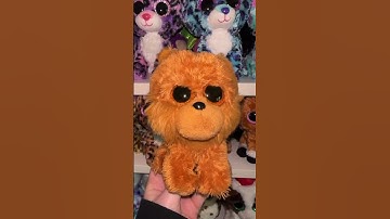 BEANIE BOOS IN REAL LIFE Part 4 #beanieboo #beanieboos #shorts #viral #collector