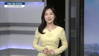 서울시 서초구 서초동 & 서울시 강남구 논현동 - 박영신