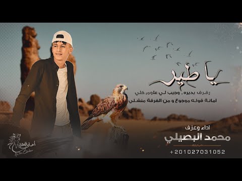دحية يا طير ويلي طاير محمد البصيلي 2022 مطلوب اكثر شيء
