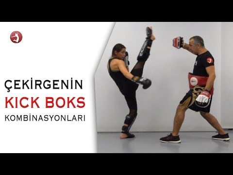 Kick Boks Kombinasyonları #ÇekirgeninNotDefteri