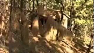 Видео Странник, пламенеющий к Небесам (Серафим Роуз) (автор: 1mozzg)