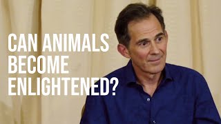 Can Animals Become Enlightened?