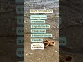 Beach vocabulary for IELTS Speaking #shorts #ieltspreparation #learnenglish #ielts #ieltsspeaking