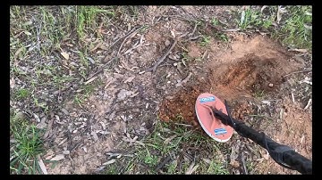 SDC2300 10x5 Coiltek Gold Nugget