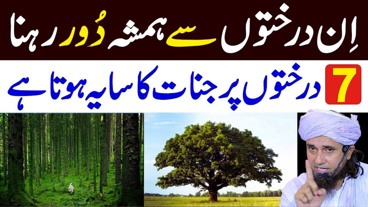 In 7 Drakhton Se Hamesha Door Rehna | Jinat Ka Saya Hota Hai | Mufti Tariq Masood