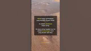 Kemenanganmu hari ini adalah langkah kecil yang berarti | Story WA #quotes #shorts